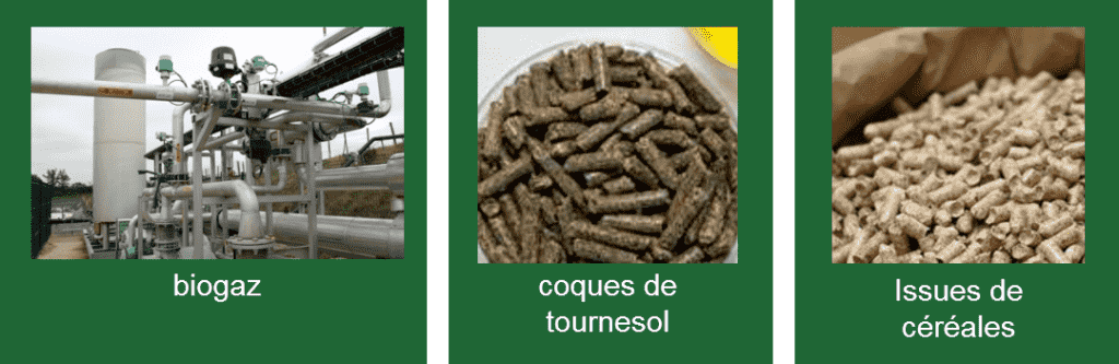exemples utilisations biocombustibles Bouyer Leroux